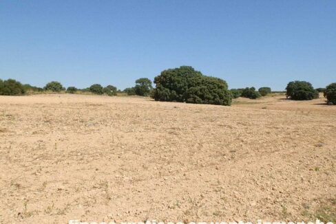 666_fincas-en-venta-006
