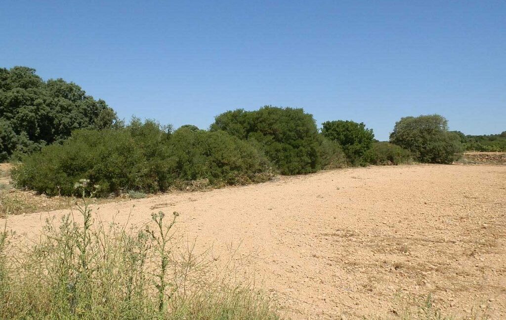 666_fincas-en-venta-009