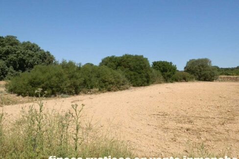 666_fincas-en-venta-009