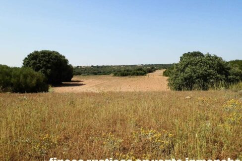666_fincas-en-venta-010