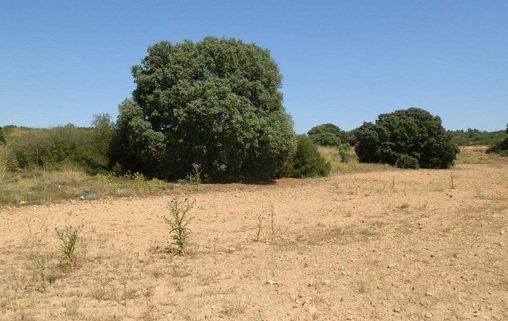 666_fincas-en-venta-011