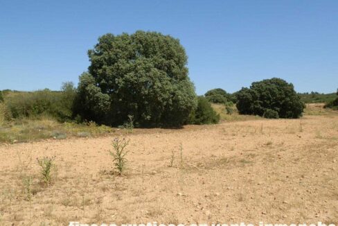 666_fincas-en-venta-011