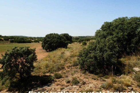 666_fincas-en-venta-015