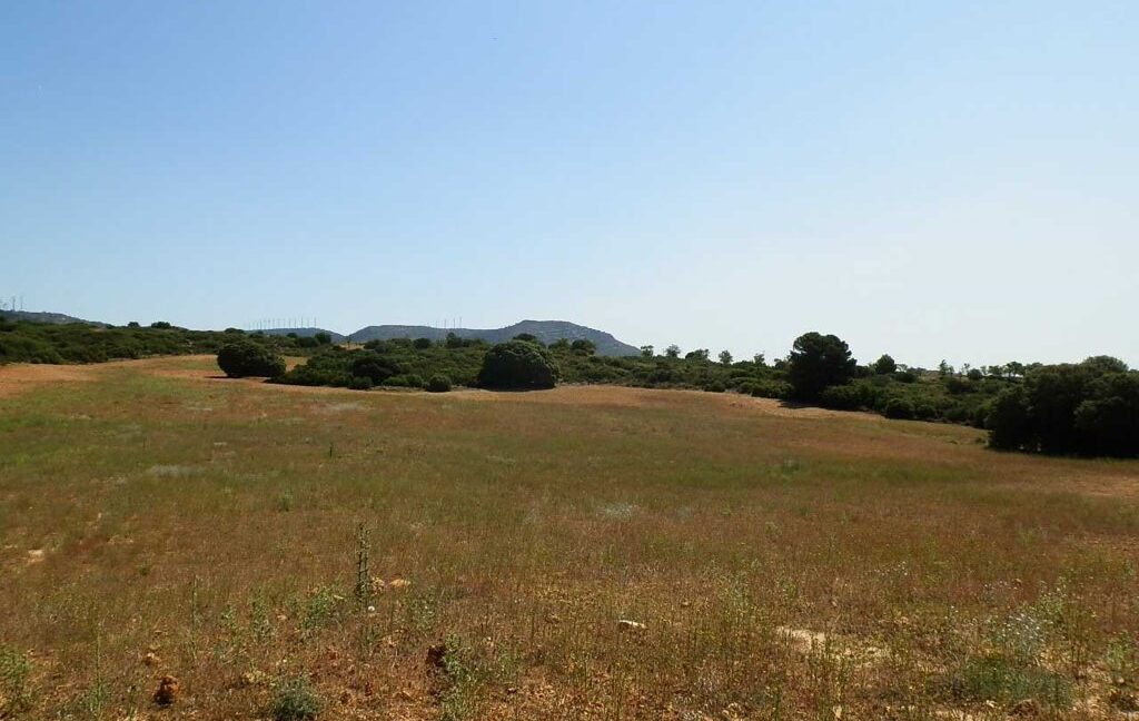 666_fincas-en-venta-017