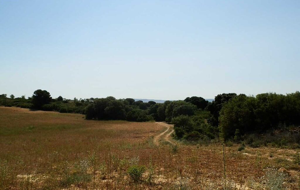666_fincas-en-venta-018