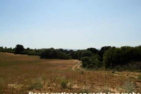 666_fincas-en-venta-018