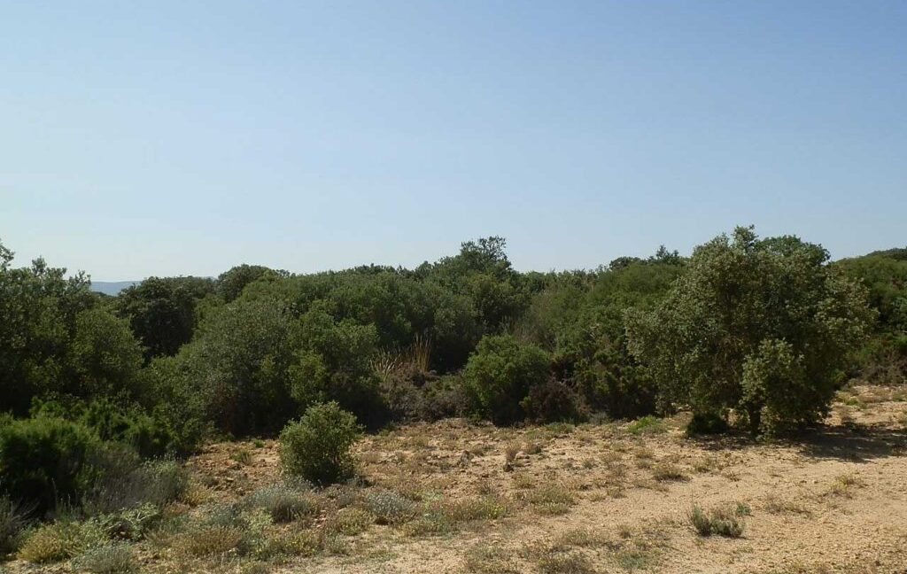 666_fincas-en-venta-019