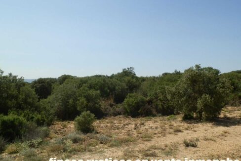 666_fincas-en-venta-019