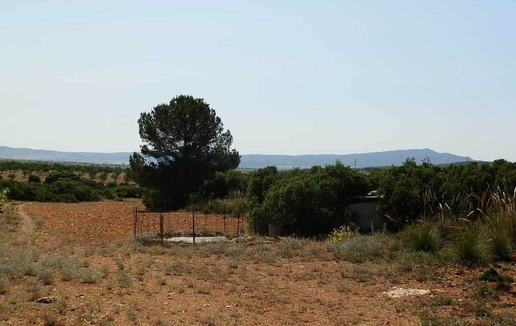 666_fincas-en-venta-020