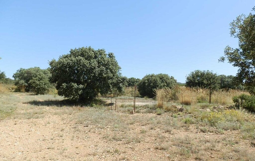 666_fincas-en-venta-023