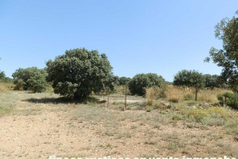 666_fincas-en-venta-023