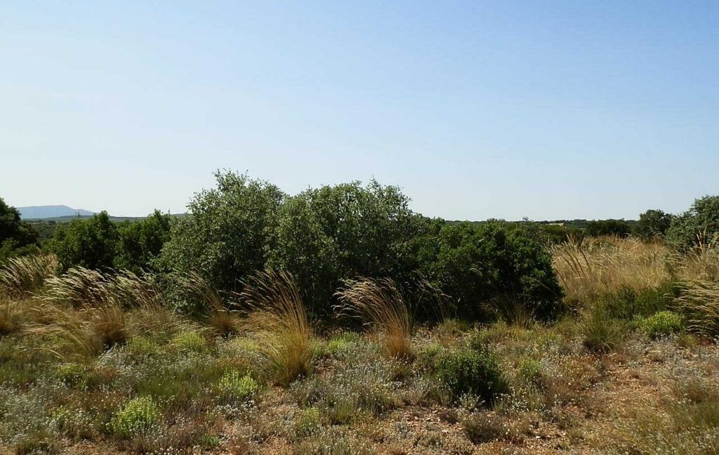 666_fincas-en-venta-025