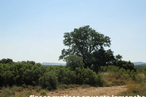 666_fincas-en-venta-026