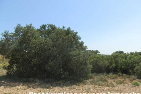 666_fincas-en-venta-027
