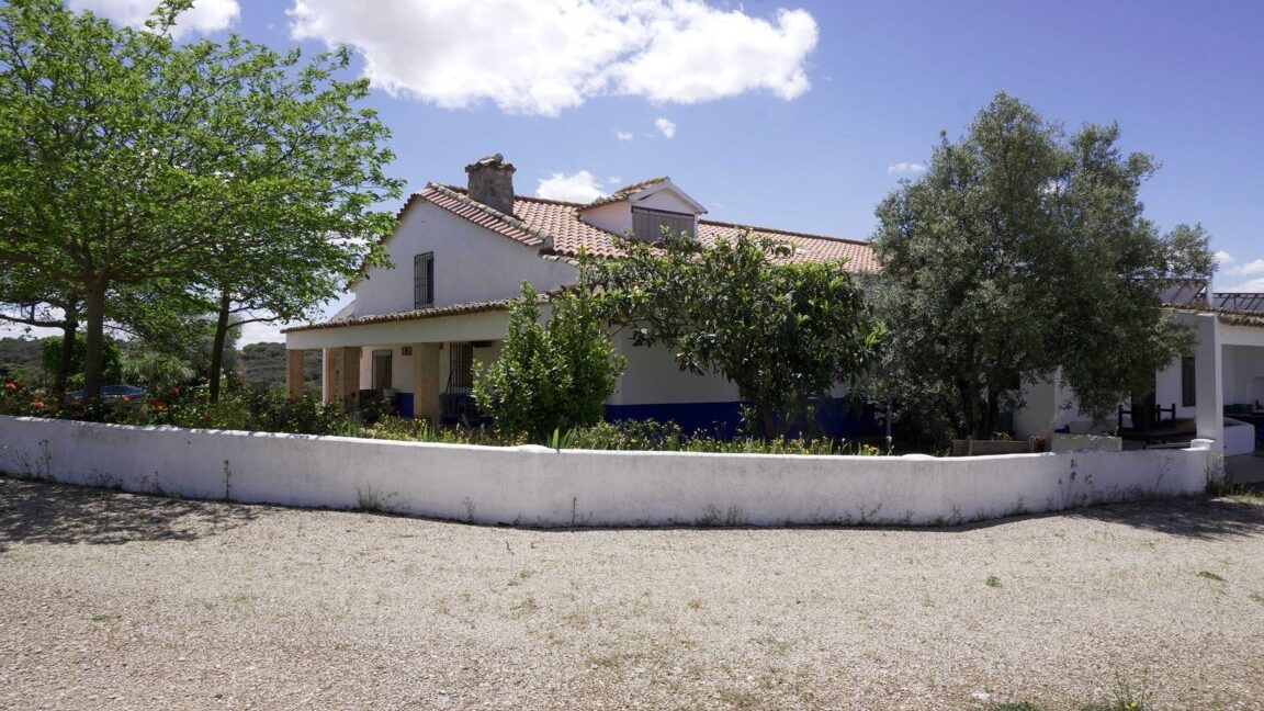 667_fincas-en-venta-1
