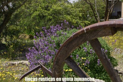 667_fincas-en-venta-15