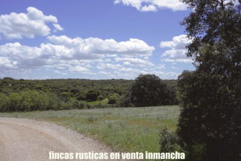 667_fincas-en-venta-16