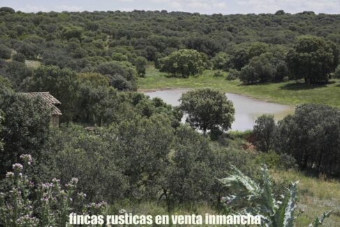 667_fincas-en-venta-17
