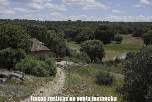 667_fincas-en-venta-18