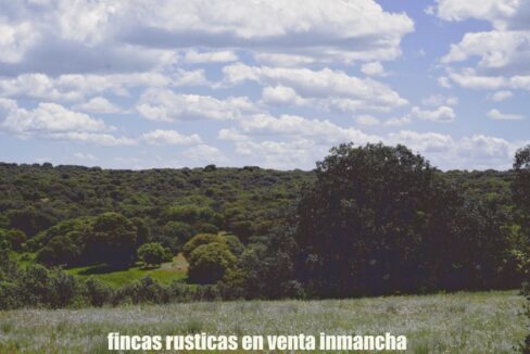 667_fincas-en-venta-23
