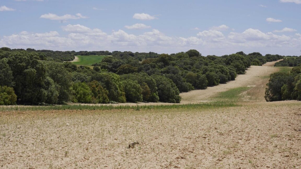 667_fincas-en-venta-24