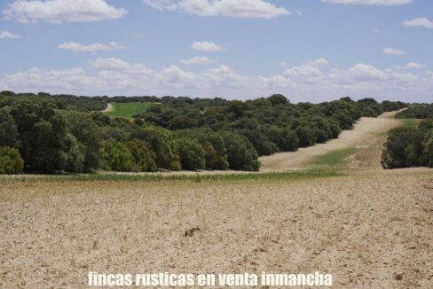 667_fincas-en-venta-24