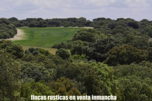 667_fincas-en-venta-25