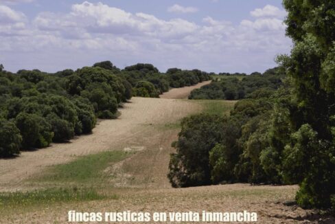667_fincas-en-venta-26