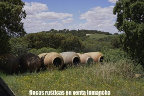 667_fincas-en-venta-27