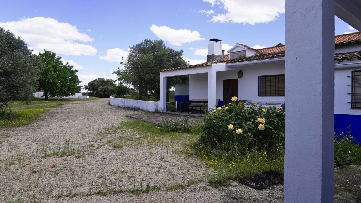 667_fincas-en-venta-4