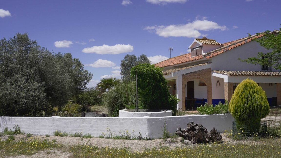 667_fincas-en-venta-6