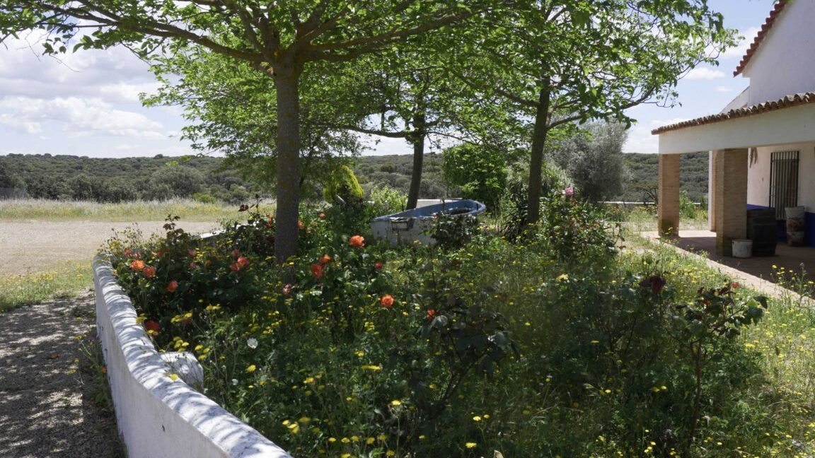 667_fincas-en-venta-7
