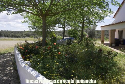 667_fincas-en-venta-7