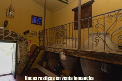 667_fincas-en-venta-9