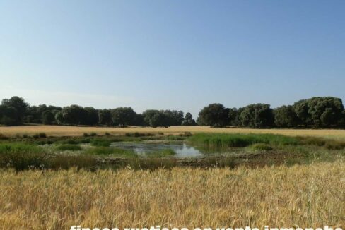 668_fincas-en-venta-006