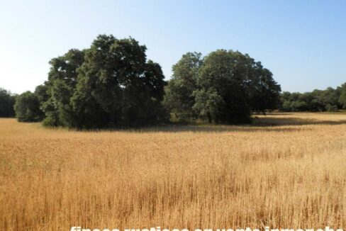 668_fincas-en-venta-014