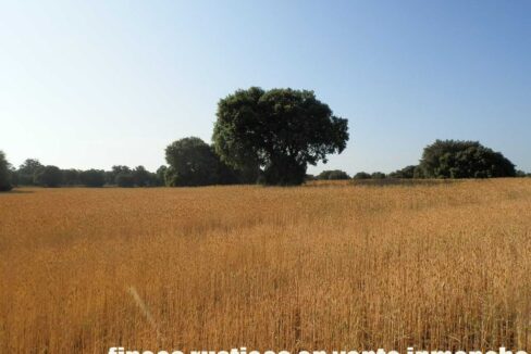 668_fincas-en-venta-019
