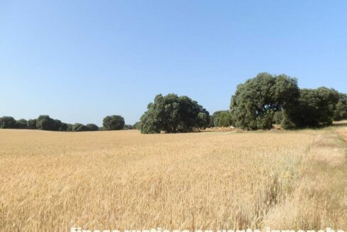 668_fincas-en-venta-025