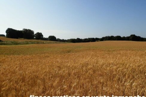 668_fincas-en-venta-026