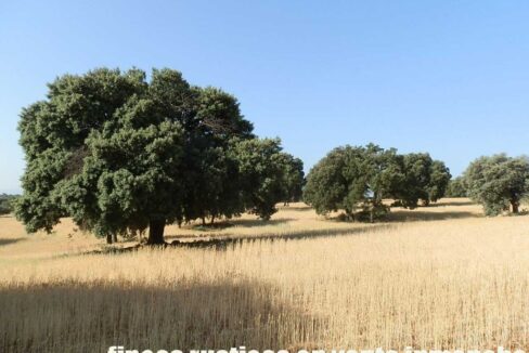 668_fincas-en-venta-033