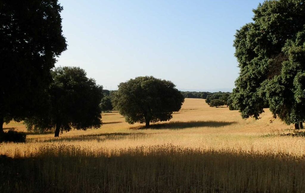 668_fincas-en-venta-034