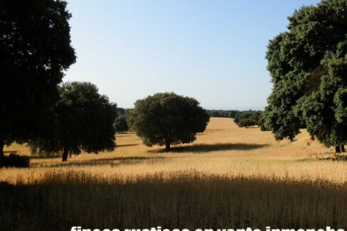 668_fincas-en-venta-034