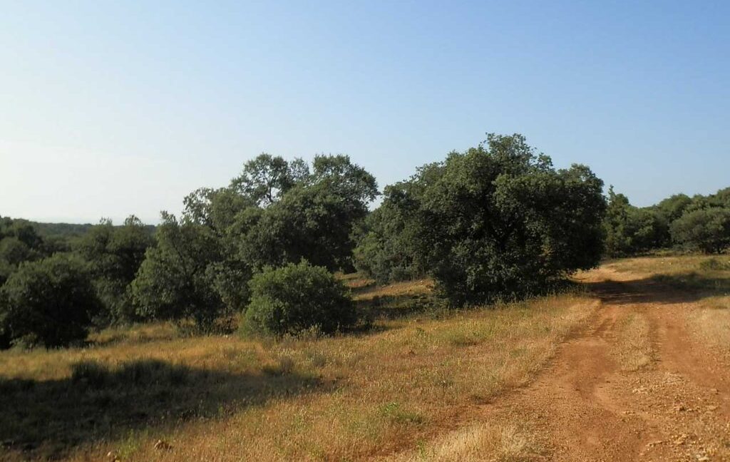 668_fincas-en-venta-039