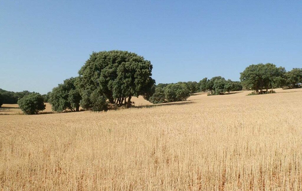668_fincas-en-venta-047