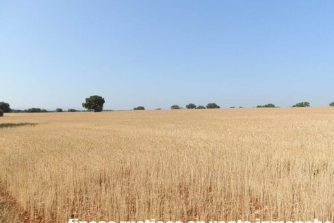 668_fincas-en-venta-053