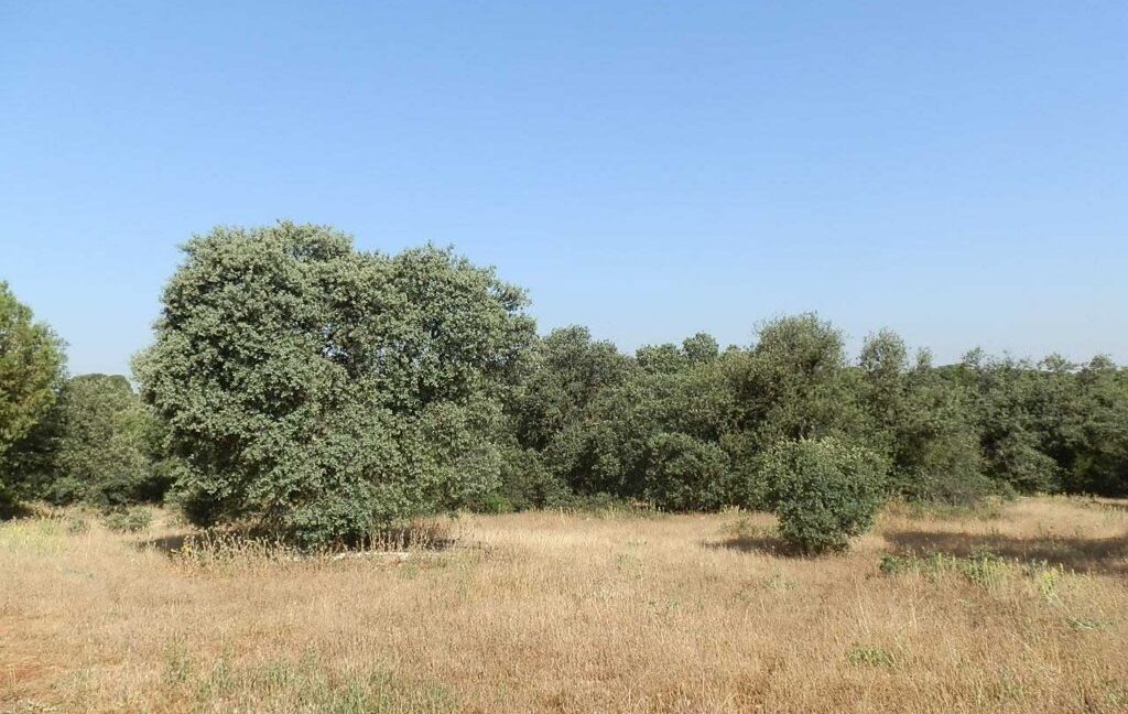 668_fincas-en-venta-064