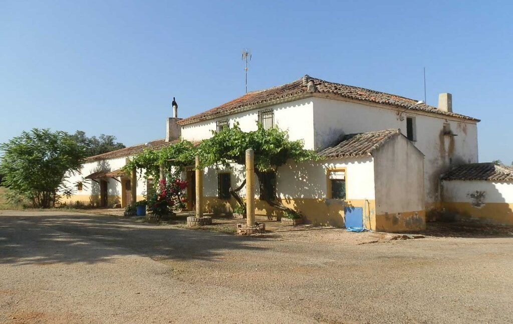 668_fincas-en-venta-066