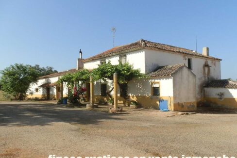 668_fincas-en-venta-066