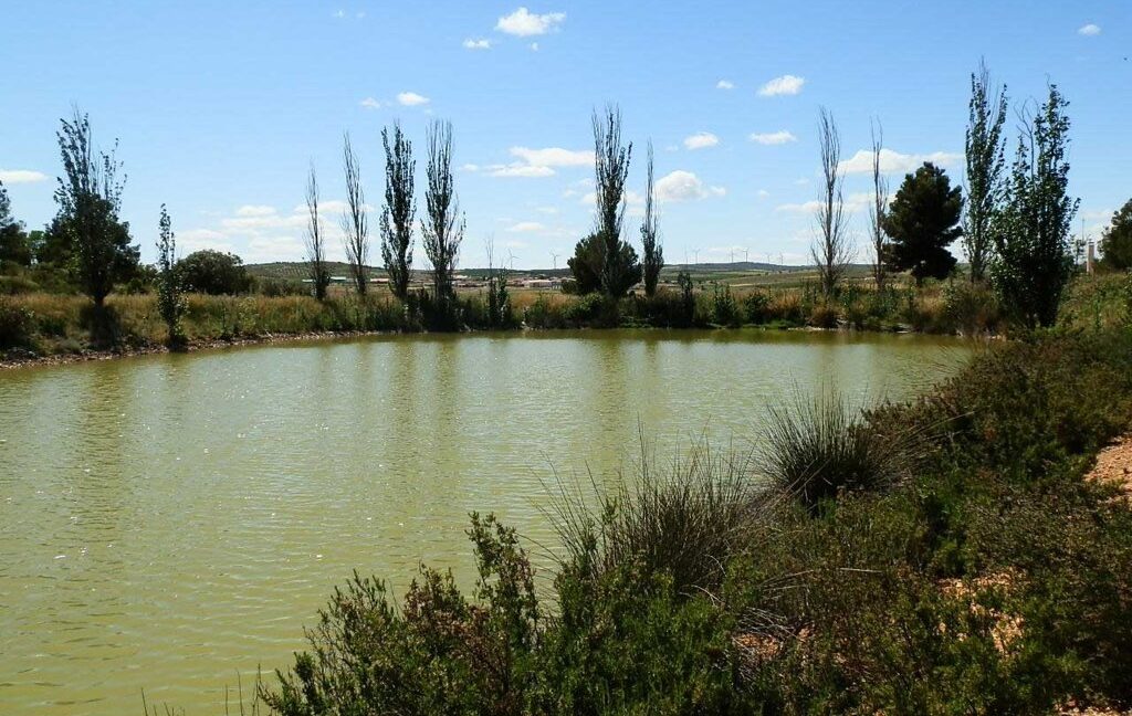 669_fincas-en-venta-081