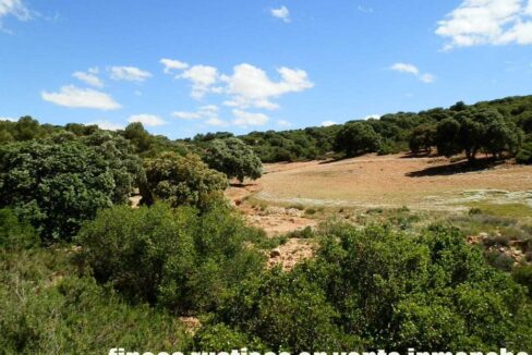 669_fincas-en-venta-083